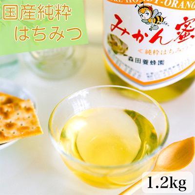 ふるさと納税 有田市 国産純粋はちみつ(みかん蜜)1.2kg×1瓶