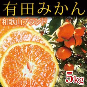 【魚鶴商店厳選】和歌山人気の柑橘定期便（有田みかん・不知火・清見オレンジ）【定期便全3回】