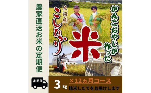 
            【令和７年産新米予約】12か月定期便　がんこおやじが作った南魚沼産コシヒカリ白米３kg【2025年10月20日頃より順次発送予定】
          