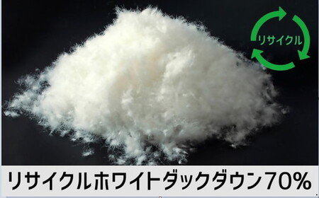 ザ・羽毛布団 リサイクルダウン ロイヤルグリーン ダブル 190×210cm リサイクルホワイトダックダウン70％ 羽毛 掛け布団 立体キルト　【251-000374-20】【14-6】