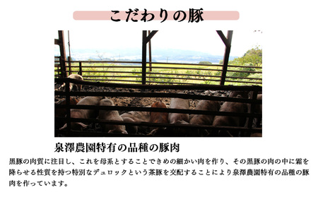 ばあく豚 しゃぶしゃぶとソーセージのセット 奈良県金剛山麓