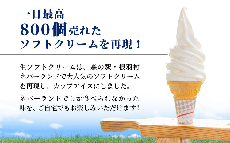 【スピード発送】南信州産の生乳を100％使用! 生ソフトクリームアイス & ブルーベリーアイス　(80ml)×16個セット