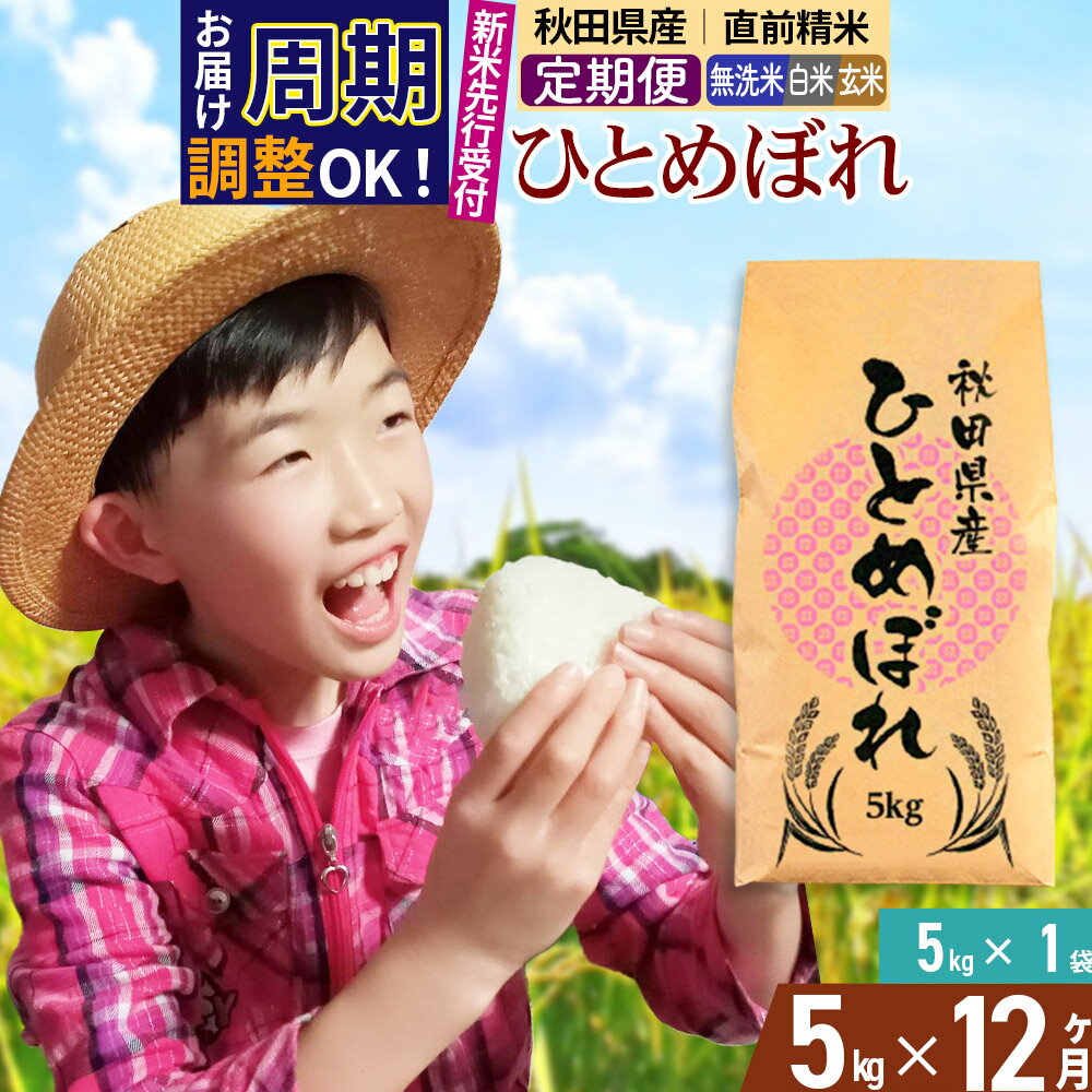【ふるさと納税】《予約受付》《定期便12ヶ月》令和7年産【無洗米／白米／玄米】通算5回 特A 秋田県産ひとめぼれ 5kg (5kg×1袋)×12回 お届け周期調整 隔月もOK【2025年11月中出荷予定】