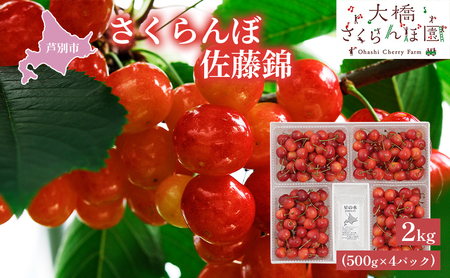 【 先行受付 】さくらんぼ 佐藤錦 2kg 500g×4パック 大橋さくらんぼ園 農林水産大臣賞 受賞 サクランボ チェリー 果物 果物類 フルーツ デザート 有名品種 人気 甘味 上品