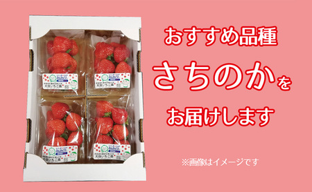 おすすめ品種「さちのか」4パック　250g×4パック　『とくしま安２（安全・安心）農産物』優秀認定取得