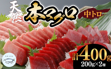 本まぐろ 中トロ 2柵 まぐろ【eb013】