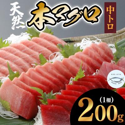 ふるさと納税 室戸市 本マグロ　中トロ　1柵(200g)