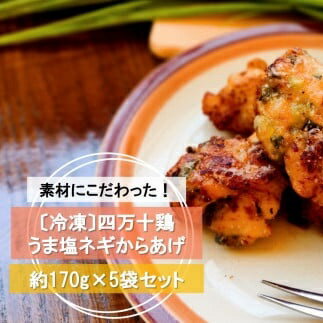 【ふるさと納税】素材にこだわった！ 四万十 鶏 うま塩 ネギ からあげ （約170g×5袋）〔冷凍〕 ［1613］