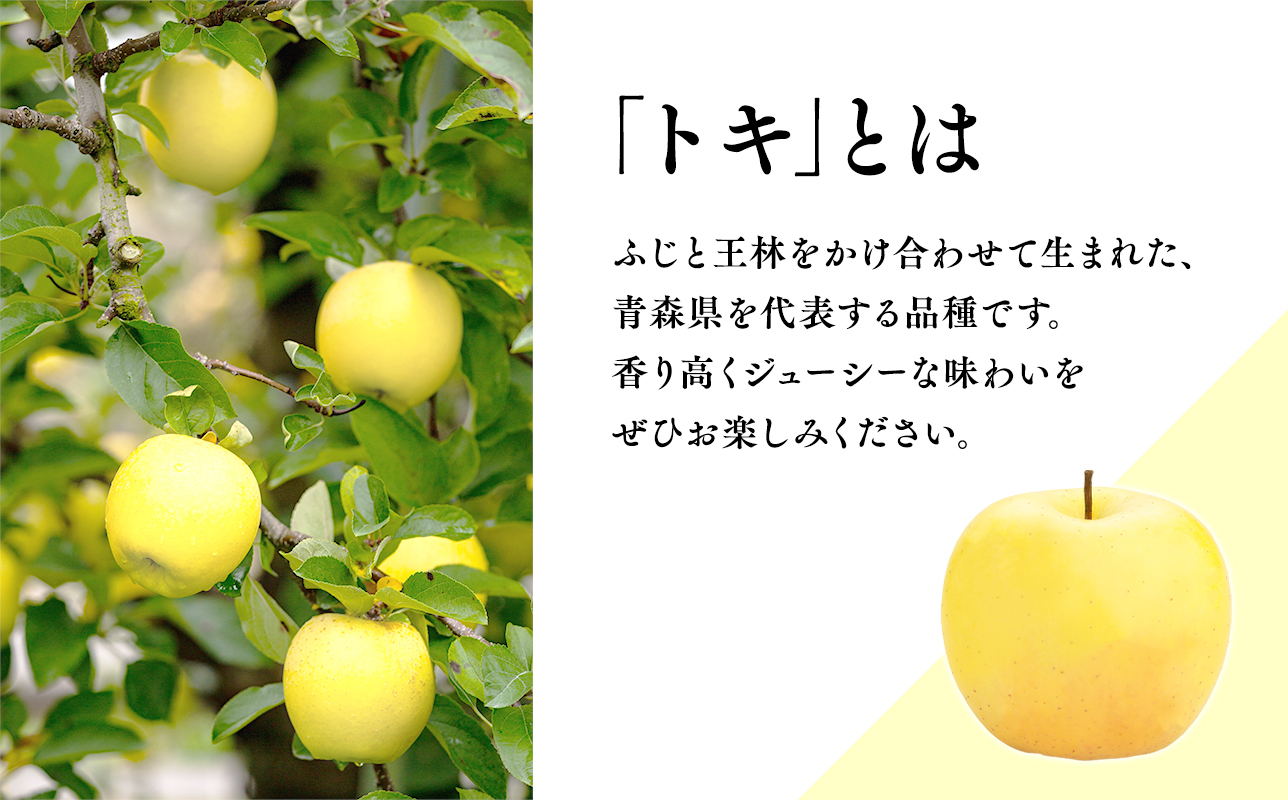 
            10月 青森県産 トキ 約5kg 【青森県 平川市 JA津軽みらい】10月発送 青森 青森県産 平川 りんご リンゴ 林檎 くだもの 果物 フルーツ 
          