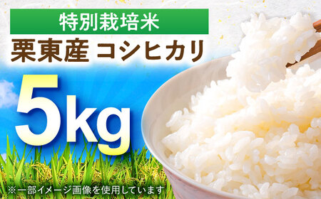 【令和7年度産】 特別栽培米 コシヒカリ 5kg BIBV007 コシヒカリ