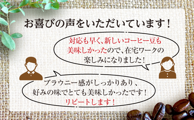 【COFFEE PORT芦屋浜コーヒー1kg】ブラジルブラウニーブラウニー【粉】