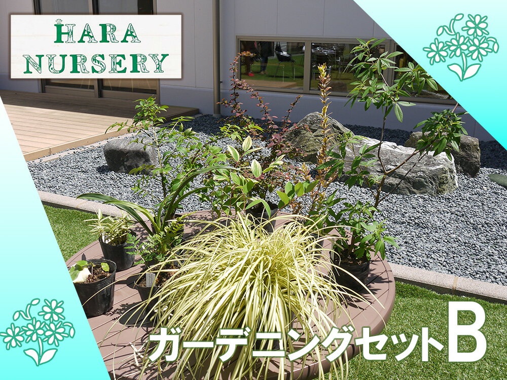 【ふるさと納税】ガーデニングセットB　花 苗 植物 家庭菜園 花壇 プランター ガーデニング（BS178）