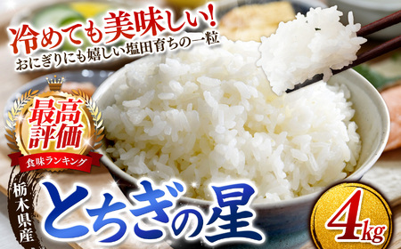 【2026年先行予約】ごはんが主役！矢板市産とちぎの星 白米 4kg お米 栃木県 矢板市