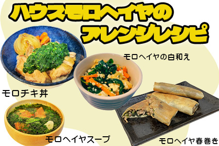 ハウスモロヘイヤ 100g×10袋 ネバネバ 高栄養価（βカロテン/各種ビタミン/カルシウム/カリウム/葉酸など) 定番おひたし 和洋中の各種スープ 色んなお料理のソースにも 野菜 ねばねば