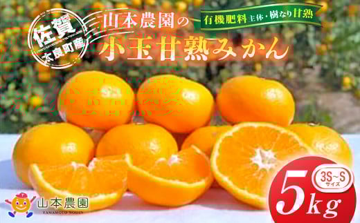 
            L-12 山本農園の小玉甘熟みかん 5kg　みかん ミカン 蜜柑 日南 上野 太幸 佐世保早生 石地 温州みかん 完熟みかん 甘熟みかん 国産 佐賀県産 太良町 こだわり 産地直送 詰め合わせ 小玉 有機肥料 期間限定
          