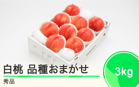 先行予約 もも 白桃 秀品 品種おまかせ 約3kg 化粧箱入り 2025年産 令和7年産 ふるさと納税 果物 くだもの フルーツ 期間限定 冷蔵配送 先行受付 グルメ 取り寄せ ご当地 特産 産地 直送 送料無料 東北 山形県 人気 ns-mohtx3 