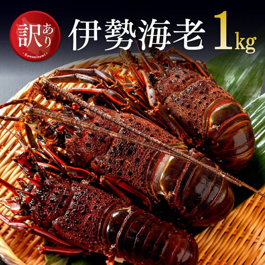 【ふるさと納税】 【訳あり】冷凍伊勢海老1kg（2～7尾） - 魚介 伊勢海老 イセエビ 訳あり 宮崎県 川南町 送料無料 C01706