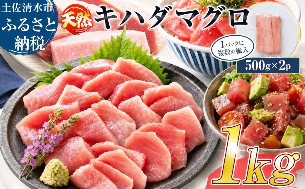 訳あり 天然マグロ 赤身 1kg（500g×2パック）天然キハダマグロ 柵 刺身 お刺身 刺し身 お造り 鉄火丼 漬け丼 ポキ 炙り ステーキ 冷凍【R01619】