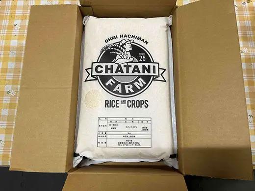 【7年産】近江米 コシヒカリ 白米 10kg 【V012W1】 こしひかり 近江米