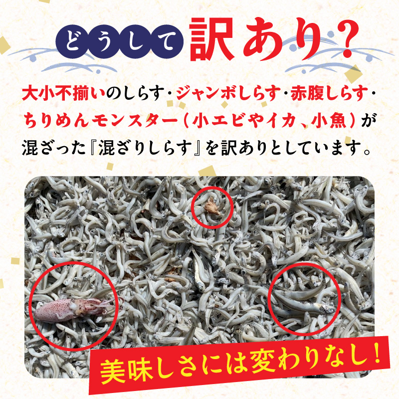 【12月24日受付分まで年内発送】訳あり しらす干し 三河しらす 国産 1kg × 2 計 2kg 新鮮 しらす 釜茹で うま味 濃縮 塩分 控えめ まろやかな味わい やみつき ご飯のお供 おつまみ 
