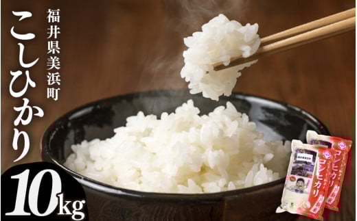 【先行予約】【令和7年産・新米】米 コシヒカリ 計10kg （5kg × 2袋）精米 福井県美浜町産 【2025年11月下旬発送予定】 [m60-c005_11]