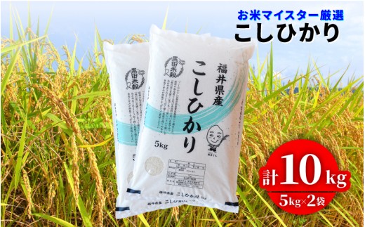 【寄付額見直し】令和7年産 コシヒカリ 10kg（5kg × 2袋）×1回 [C-02020a] / お取り寄せ お米 精米 白米 小分け 便利 弁当 ごはん ご飯 コメ おにぎり ブランド 米 初回 送料無料 常温 配送 新生活 応援