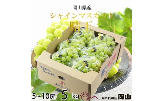 
                  【2026年8月下旬より発送】岡山県産 シャインマスカット 晴王 5kg(5房～10房) ぶどう 葡萄 ブドウ フルーツ 果物
                