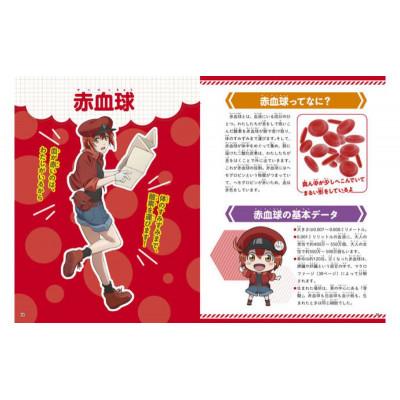 ふるさと納税 文京区 【講談社おはなし隊セレクト】はたらく細胞図鑑 全3冊セット[55000429] |  | 01