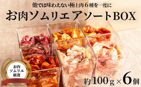 【お肉ソムリエ厳選】 肉アソートBOX 6種| 焼肉 お肉セット 焼き肉