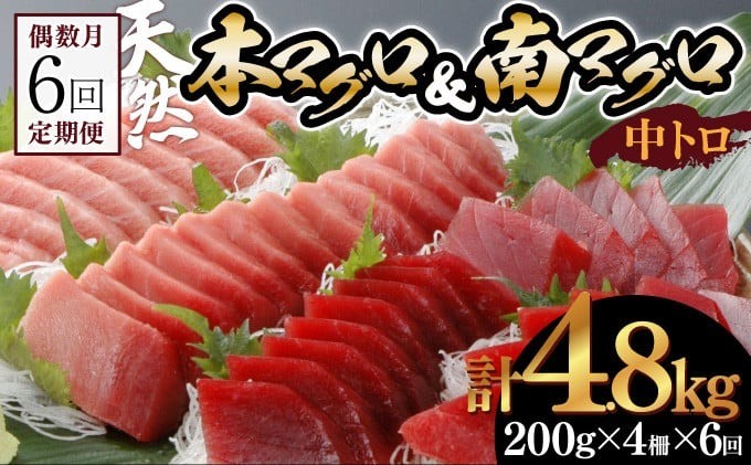 
                  【6回定期便】天然本マグロ 天然南マグロ 中トロ 各2柵 偶数月にお届け 頒布会 まぐろ 鮪 海鮮 冷凍 さしみ 刺身 まぐろセット 食べ比べ まぐろ定期便 鮪定期便 海鮮定期便 人気定期便 高知県 室戸市
                