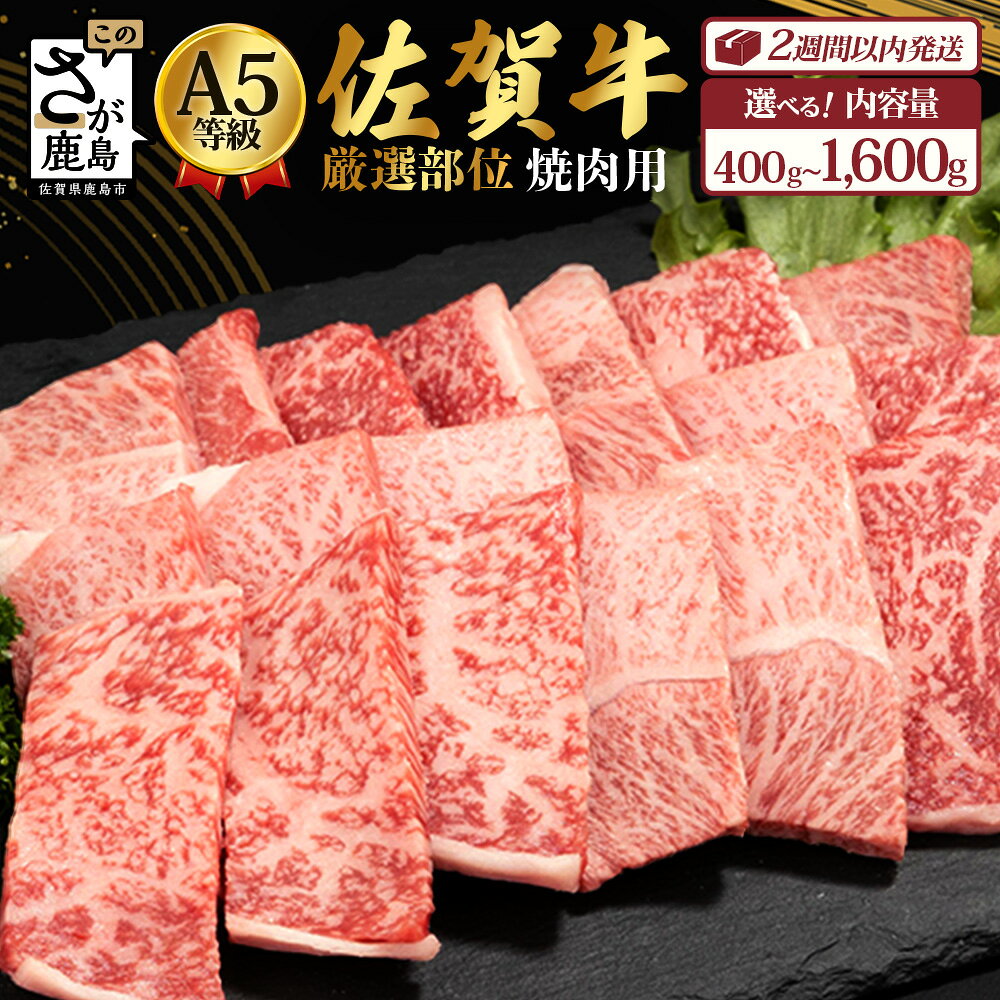 【ふるさと納税】高評価★4.7以上 佐賀牛 肉 【配送月が選べる】佐賀牛 A5 厳選部位 焼肉用 400g 〜 1600g 最短2週間以内に発送 | ふるさと納税 牛肉 焼き肉 a5 BBQ 黒毛和牛 国産 冷凍 佐賀県 鹿島市 最優秀賞受賞 お中元 お歳暮 贈答 父の日 母の日 人気 送料無料 B-616