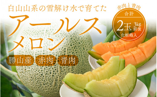 勝山産アールスメロン 2個入り（赤肉・青肉セット） ※2026年7月下旬以降順次発送 | メロン アールスメロン 赤肉 青肉 セット フルーツ 果物 1玉 1個入り 甘いメロン 濃厚 果汁 とろける食