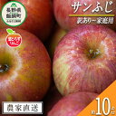 【ふるさと納税】 りんご 葉とらず サンふじ 訳あり 10kg フレッシュフルーツミカズキ 令和6年度収穫分 長野県 飯綱町 〔 傷 不揃い リンゴ 林檎 果物 フルーツ 信州 長野 予約 農家直送 〕発送時期：2024年11月中旬～2025年1月下旬 {*}