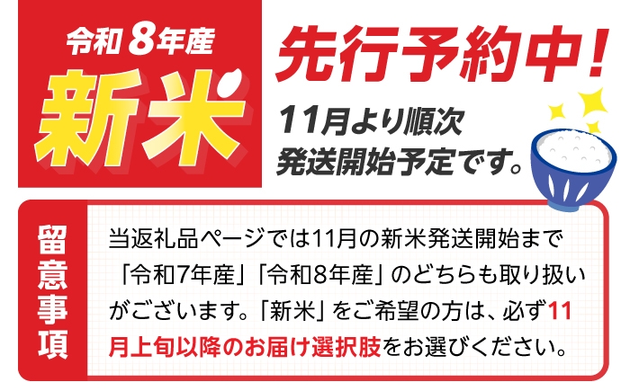 令和7年産 さがびより 20kg 5kg×4袋 佐賀県産 令和7年度産 米 おこめ お米 白米 こめ ライス rice kome