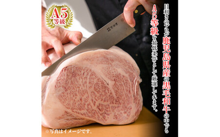 C-080 ＜数量限定！＞鹿児島県産黒毛和牛リブロース肉600g(A-5等級)【九面屋】
