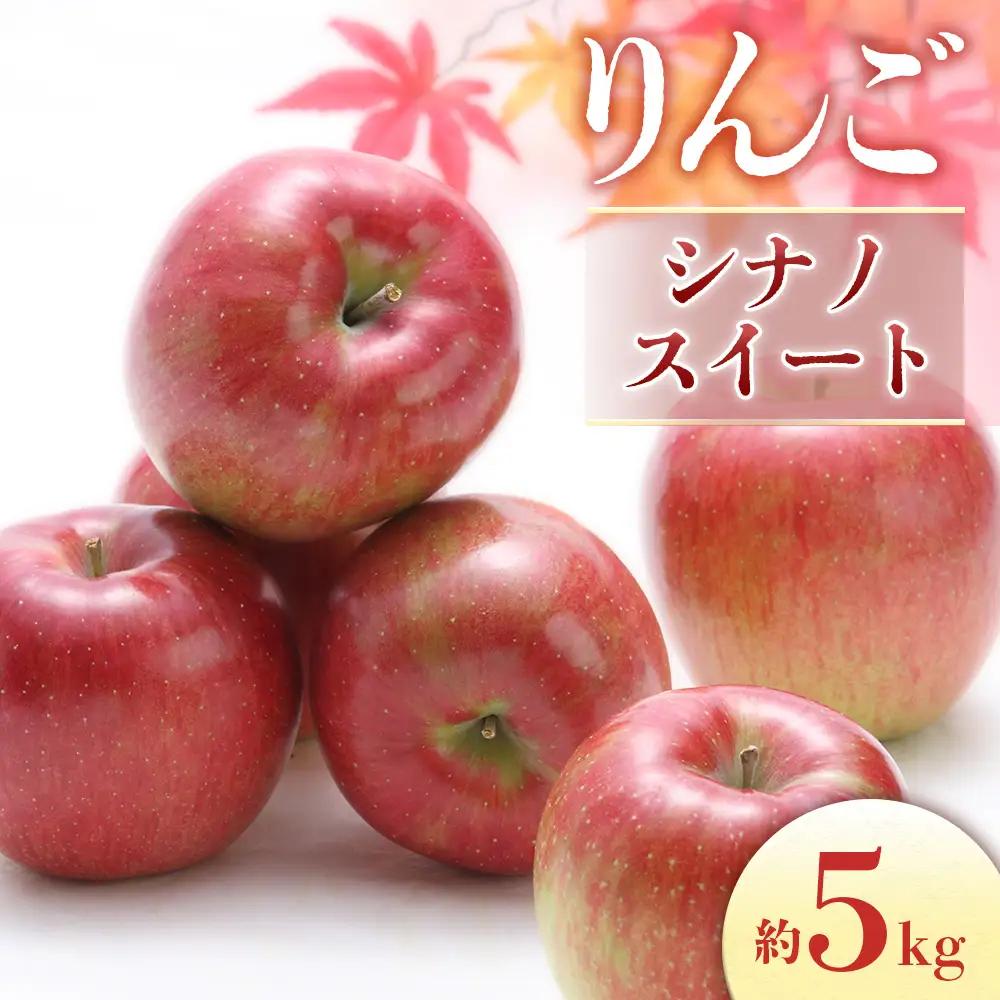 りんご シナノスイート 約5kg りんご 