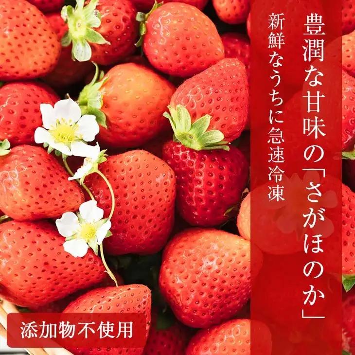 グランプリ受賞 数量限定 冷凍いちご シロップ付 計1kg+170g 【クラッシュタイプ】_BAV2-24