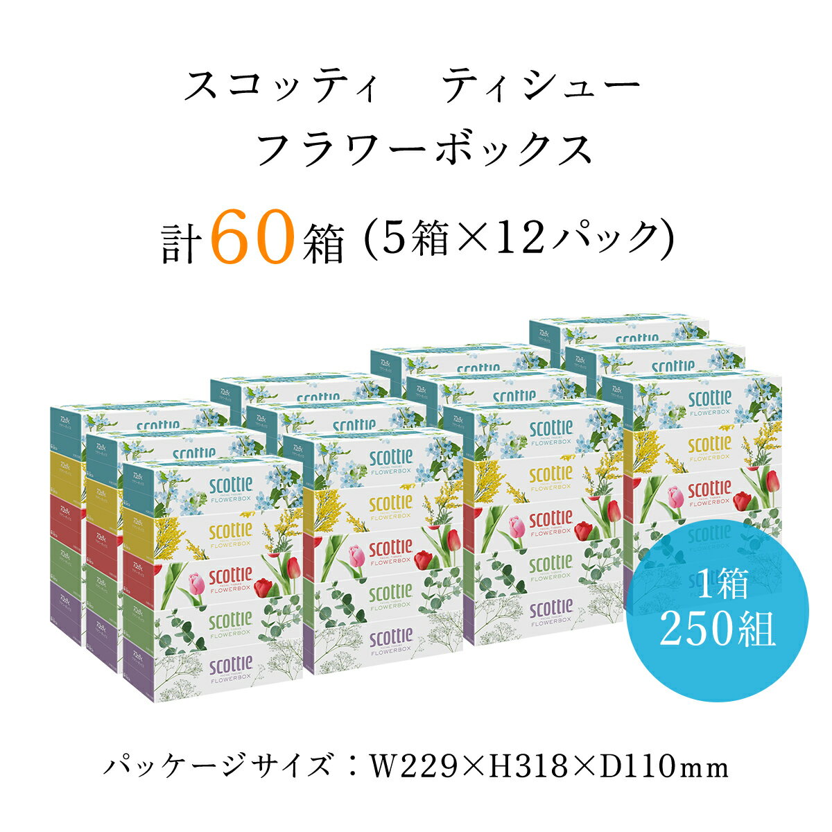 【ふるさと納税】【選べる配送月】スコッティ ティシュー フラワーボックス 250組 60箱 (1ケース5箱×12パック) ボックスティッシュ 箱 ティッシュ ティシュー 長持ち リピート 高品質 素敵 保管 クレシア ティッシュペーパー 日用品 生活必需品 まとめ買い 京都府 FCAS004