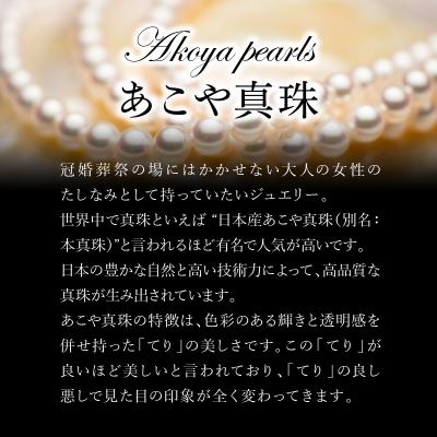 ふるさと納税 大分市 あこや本真珠ピアス 真珠8.0mm 14Kホワイトゴールド_R14108 |  | 01