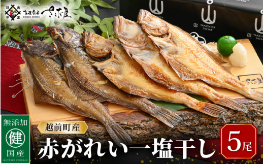 干物 セット 赤がれい 一塩干し 大サイズ （1尾 × 5パック入り）1尾約170g【福井県産 赤カレイ 小分け 個包装 詰め合わせ 保存料・着色料 無添加 おかず 惣菜 冷凍食品】 [e04-a092]