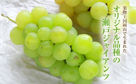 瀬戸ジャイアンツ ぶどう 訳あり 岡山県産 瀬戸ジャイアンツ【4～5房 約2kg】【冷蔵・先行予約】