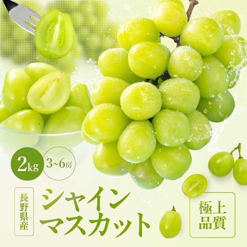 【ふるさと納税】＜南信州産＞シャインマスカット 秀品　約2kg(3～6房)＜2025年9月中旬～順次発送＞ JAみなみ信州DMセンター飯田市 | シャインマスカット ぶどう マスカット フルーツ 果物 ブドウ 葡萄 南信州 送料無料 ふるさと納税 長野県 飯田市 K12