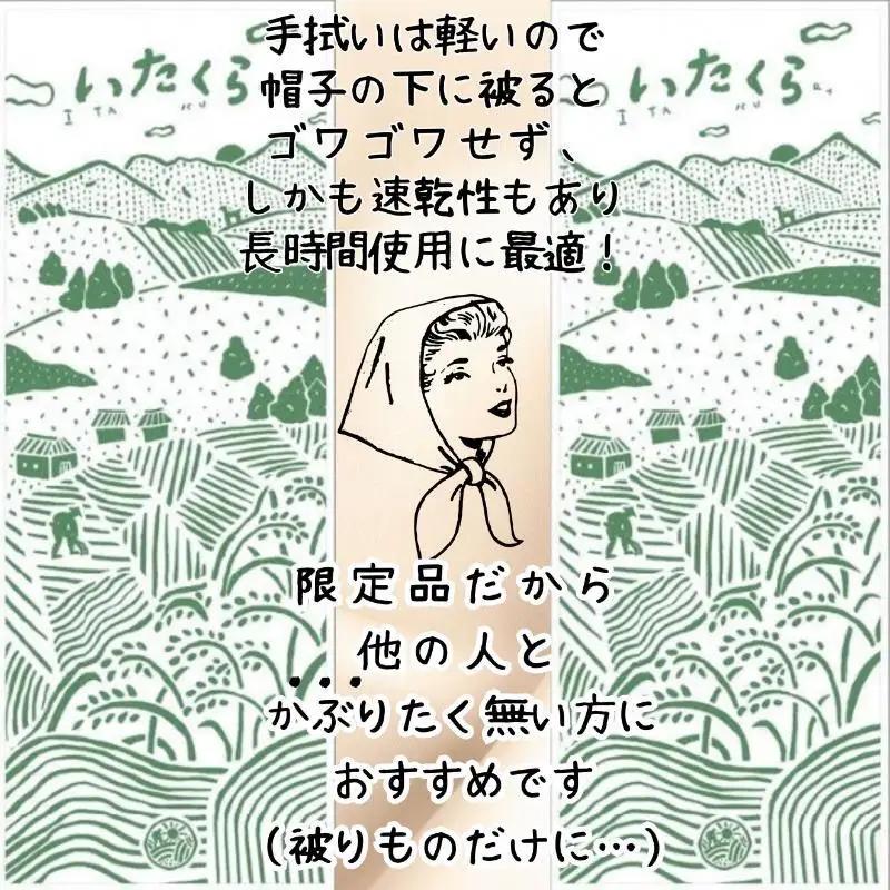 いたくらいいとこてぬぐい（みどり）手ぬぐい お土産 上越市 雑貨 タオル