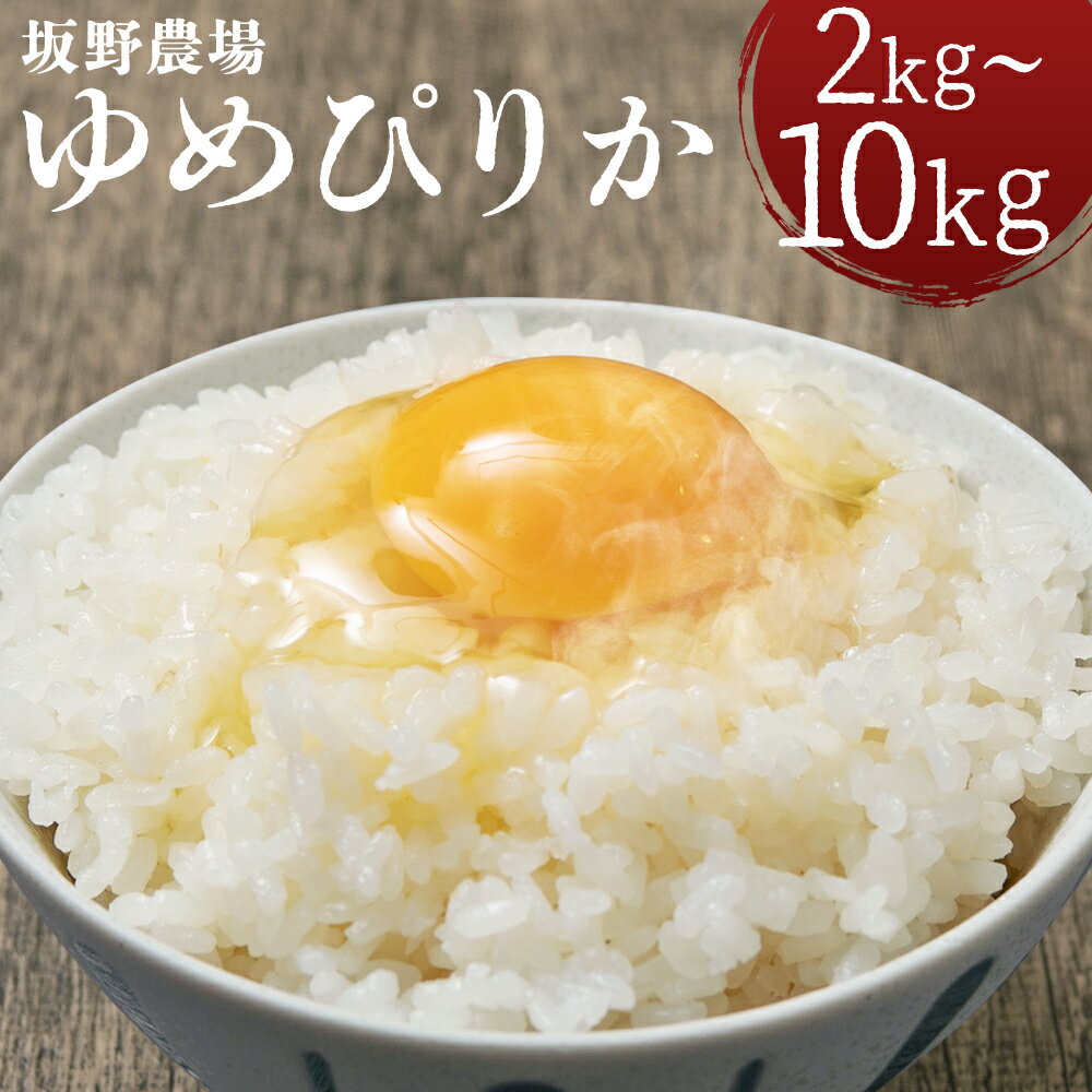 【ふるさと納税】令和7年産 らんこし米 ゆめぴりか 2kg/5kg/10kg 選べる内容量 お米 白米 精米 北海道産 蘭越町産 送料無料 【2025年10月下旬発送開始予定】
