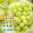 【ふるさと納税】シャインマスカット1房(450g以上)【先行予約・数量限定】 ぶどう ブドウ 葡萄 シャイン マスカット フルーツ 果物 くだもの 産地直送 世羅【2025年10月下旬以降順次発送-12月初旬まで発送可能】A062-05