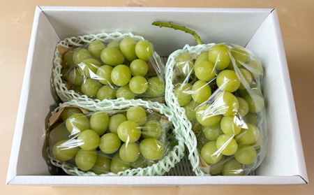 はじける美味しさ！山形の朝どりシャインマスカット 約1.4kg 2～3房【令和8年産先行予約】FS25-135