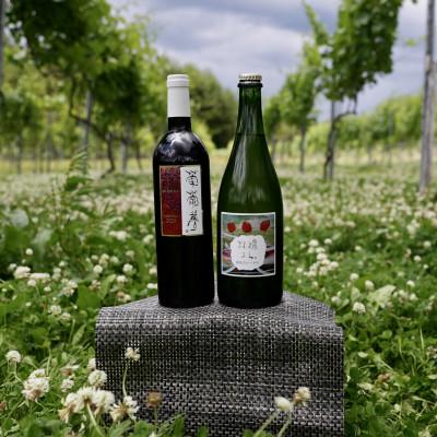 ふるさと納税 喜多方市 WINERY JUN【福島の恵み　りんごとぶどう酒(Aセット)】750ml×2本