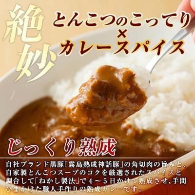 ふるさと納税 霧島市 とんこつベースの霧島神話豚カレー5食入り!【富士食品】　A-044 |  | 02