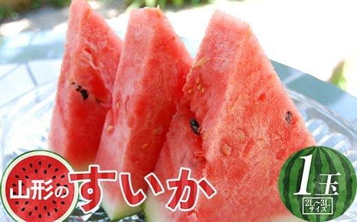 《先行予約 2025年度発送》山形県産すいか1玉（2L～3Lサイズ）  スイカ すいか 西瓜 デザート フルーツ 果物 くだもの 果実 食品 山形県 FSY-0721