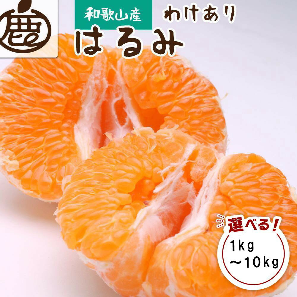 【ふるさと納税】［先行予約］［選べる内容量（1kg～10kg）］家庭用はるみ［デコポンの姉妹品種・新食感春みかん］［光センサー選別］ 訳あり わけあり | みかん 蜜柑 フルーツ 果物 くだもの 食品 人気 おすすめ 送料無料 不知火の姉妹品種